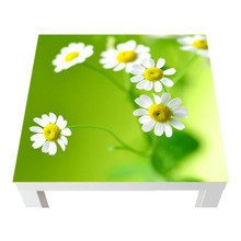 Naklejka na stół - Ładne kwiatki