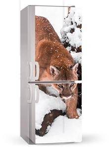 Naklejka lub mata magnetyczna na lodówkę - Groźny dziki kot - 00206
