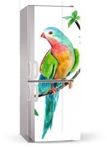 Naklejka lub mata magnetyczna na lodówkę - Kolorowa papuga - 00201