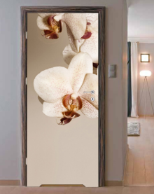 Naklejka na drzwi - Brązowa orchidea - 0049