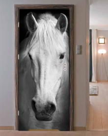 Naklejka na drzwi - Koń albino - 0106