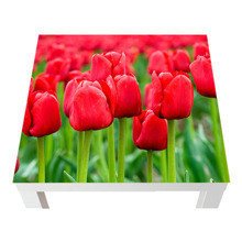 Naklejka na stół - Czerwone tulipany