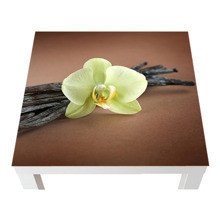 Naklejka na stół - Kwiat wanilii