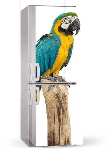 Naklejka lub mata magnetyczna na lodówkę - Niebiesko żółta papuga - 00202