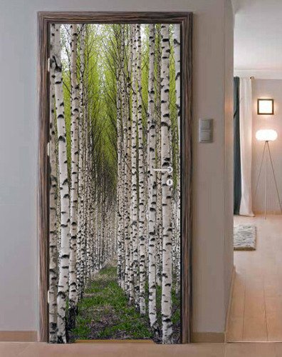 Naklejka na drzwi - Ścieżka w brzozowym lesie - 0101