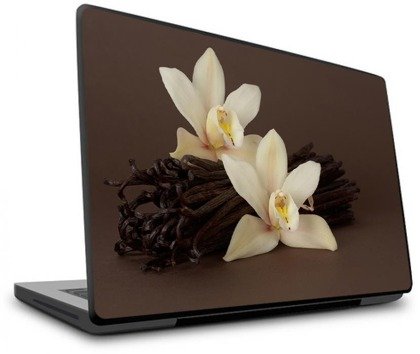 Naklejka na laptopa - Kwiat wanilii
