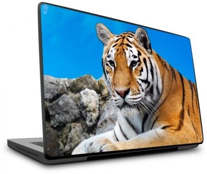 Naklejka na laptopa - Tygrys przy skale