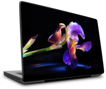 Naklejka na laptopa - Usychający kwiat